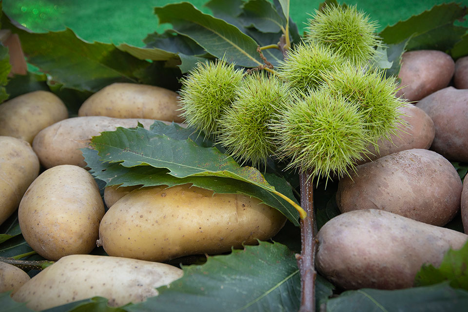 foto-festa-patate-vezzolacca-alta-val-d-arda-sergio-efosi