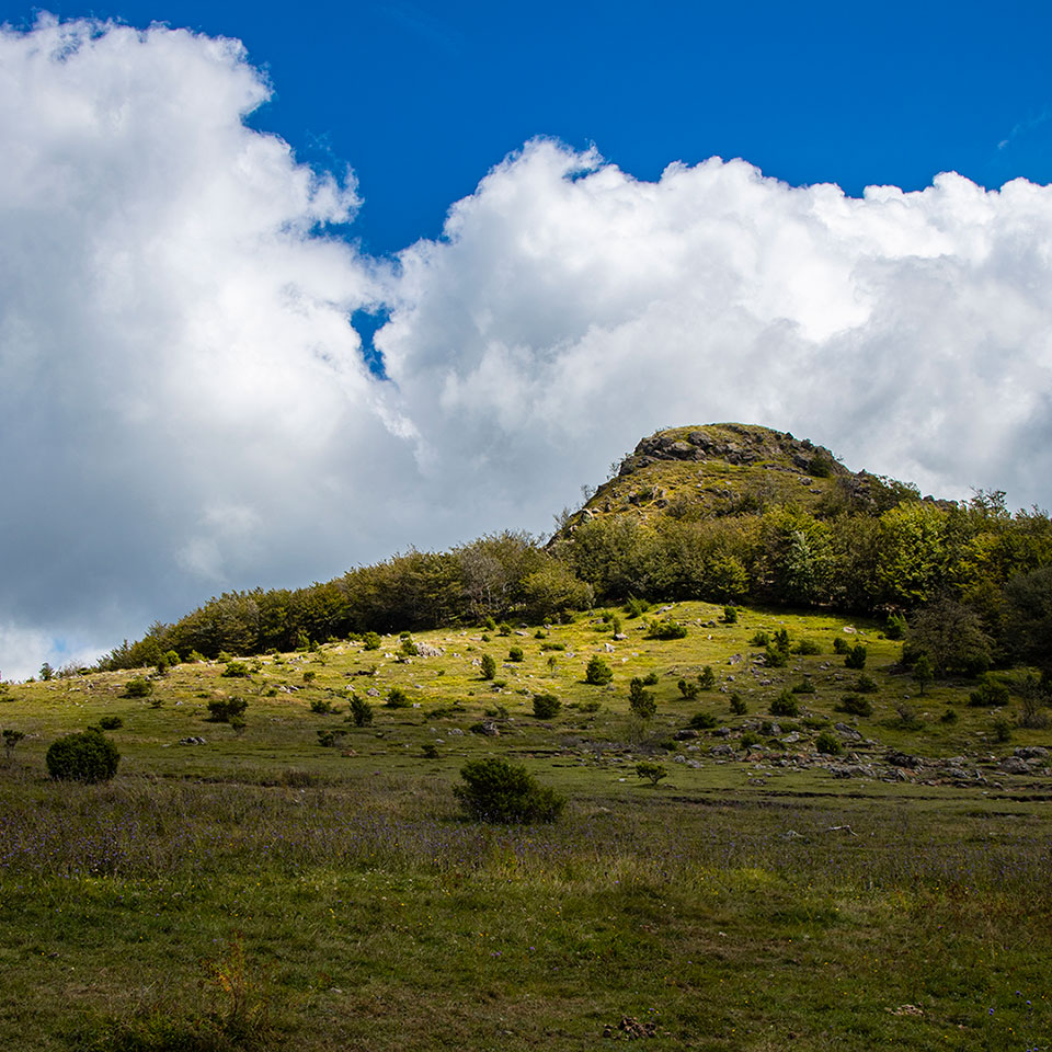 crinale-alta-val-d-arda-sentieri-cai-escursioni-trekking-monte-lama-2-piacenza-sergio-efosi