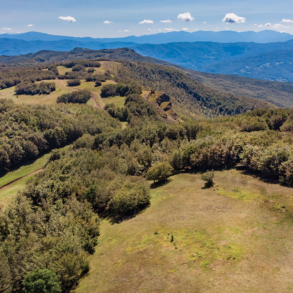 crinale-alta-val-d-arda-sentieri-cai-escursioni-trekking-monte-lama-piacenza-sergio-efosi