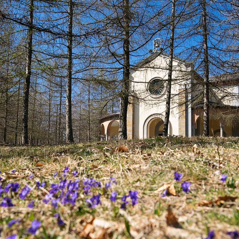 parco-monte-moria-chiesa-madonna-del-monte-sergio-efosi-piacenza