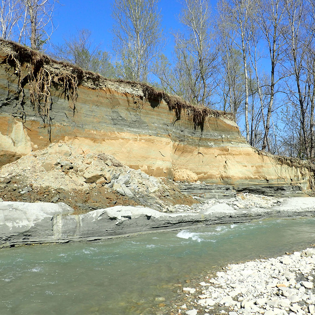 parco-stirone-piacenziano-argille-azzurre-fossili