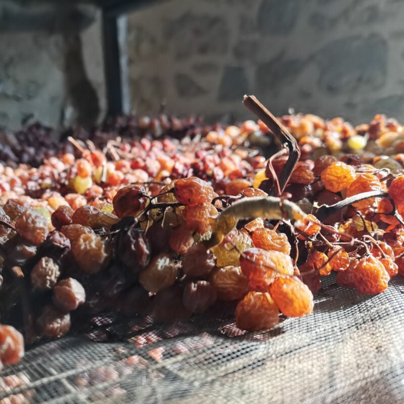 uve del vin santo di Vigoleno - Associazione Produttori