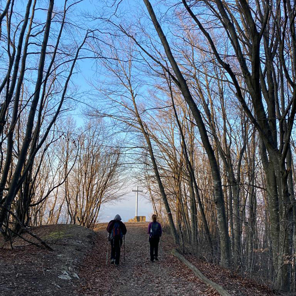 Escursione invernale al parco provinciale