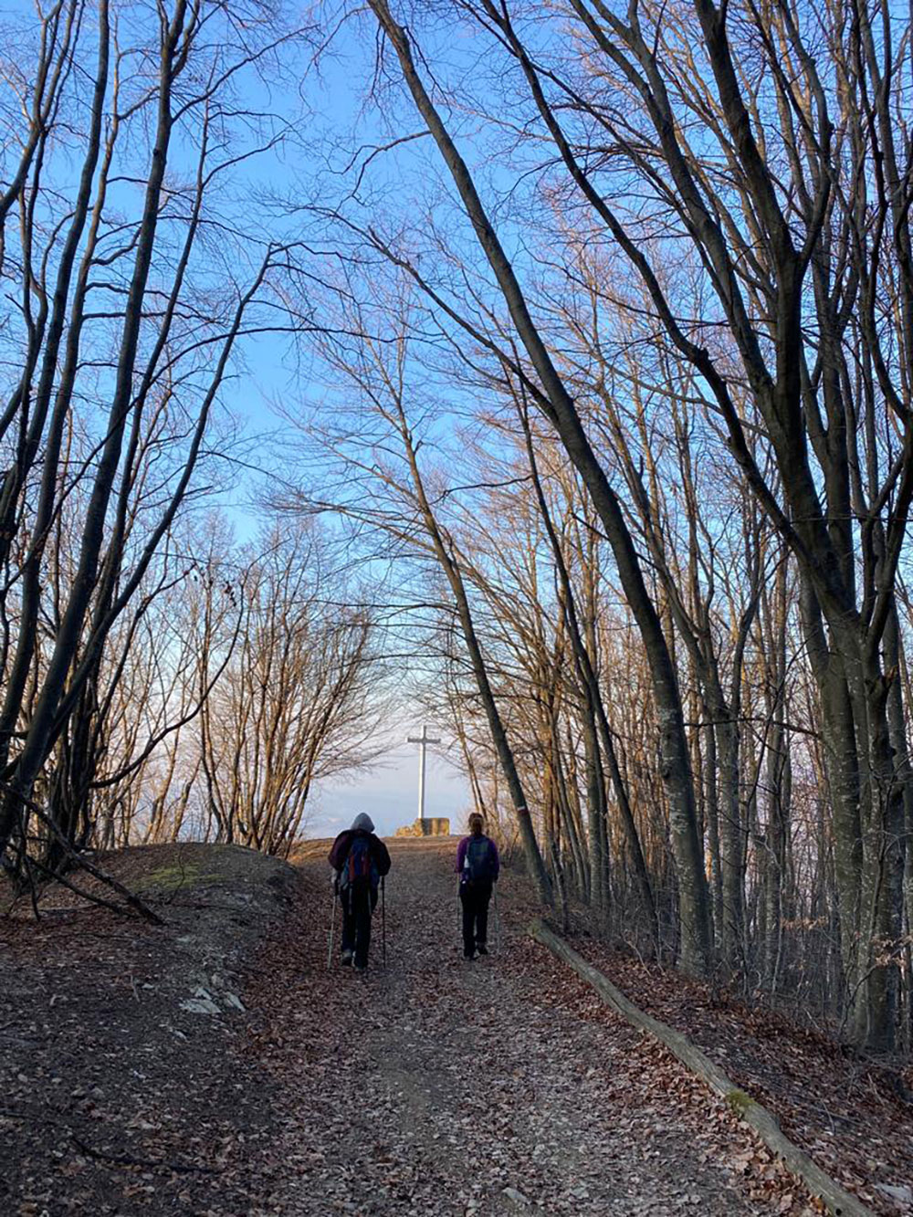 Escursione invernale al parco provinciale