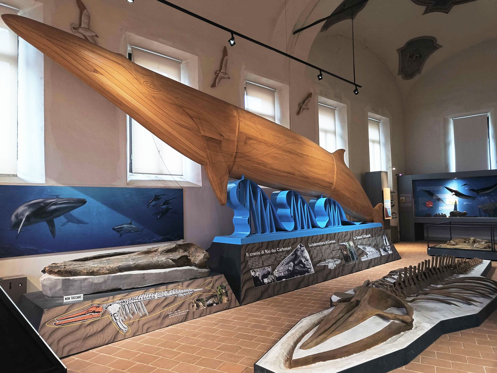 La sala dei cetacei nel museo geologico di Castell'Arquato