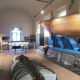 Sala cetacei Museo geologico Cortesi di Castell'Arquato