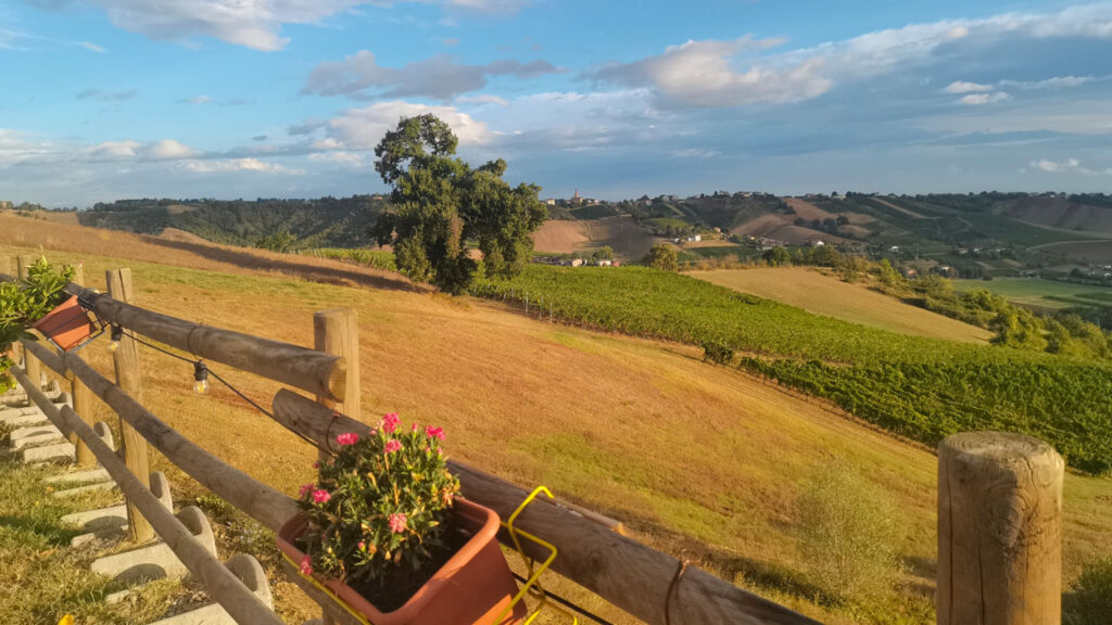 Cantina Visconti – panorama