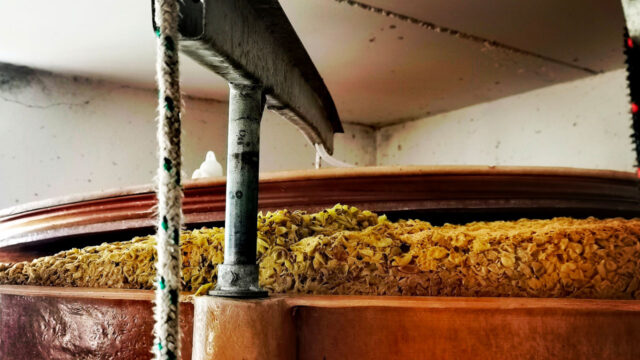 fermentazioni a Cantina Visconti