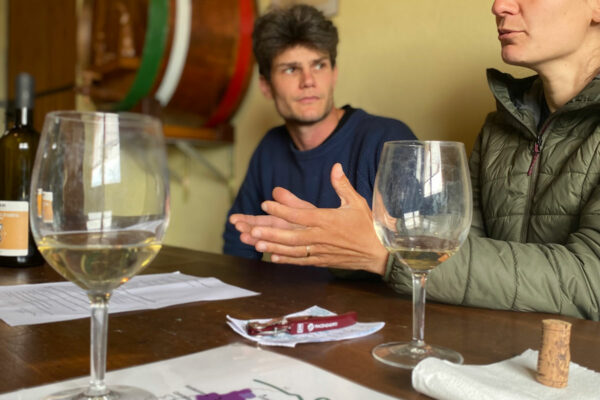Azienda Saccomani vini in Val Chiavenna Piacenza