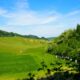 Passeggiata sulla Via dei Monasteri Regi tra vigneti e calanchi