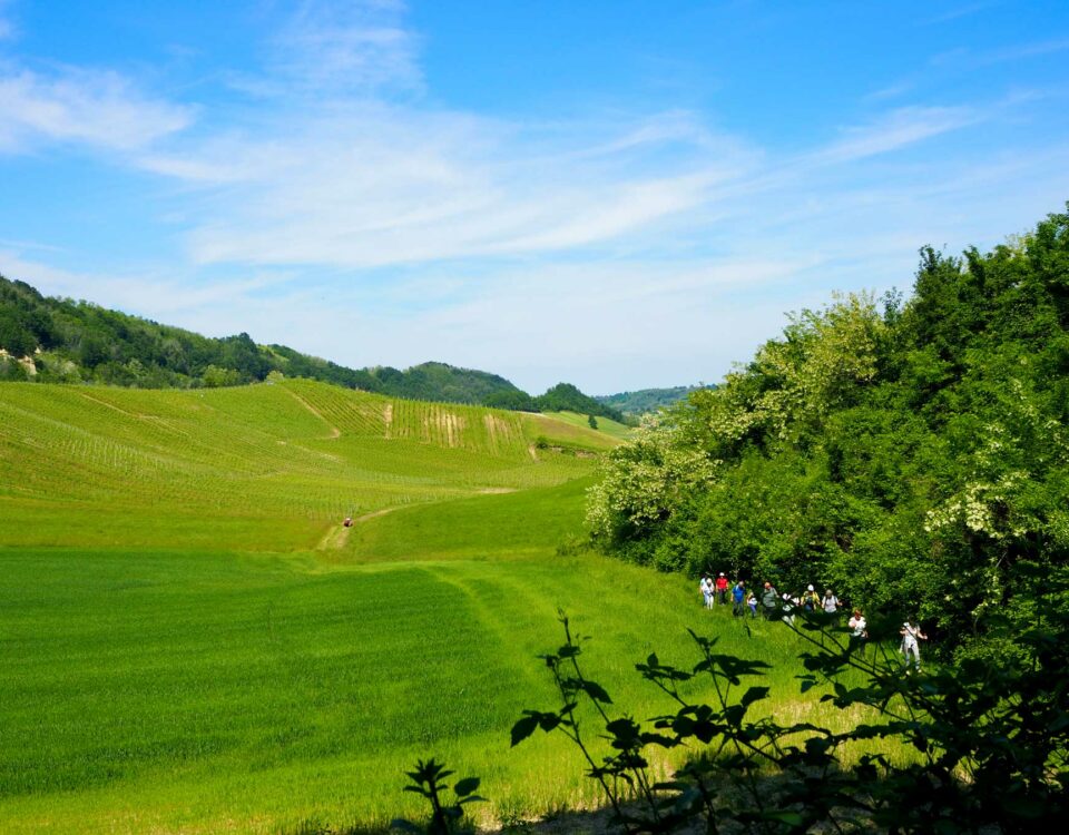 Passeggiata sulla Via dei Monasteri Regi tra vigneti e calanchi