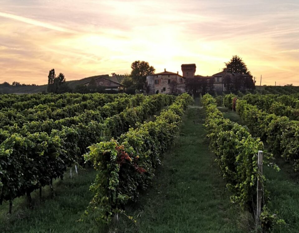 Jazz SummerWine - Cantina Pusterla - Castell'Arquato - Alta Val d'Arda (1)