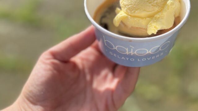 baiocc-gelato-lovers-castellarquato-coppetta