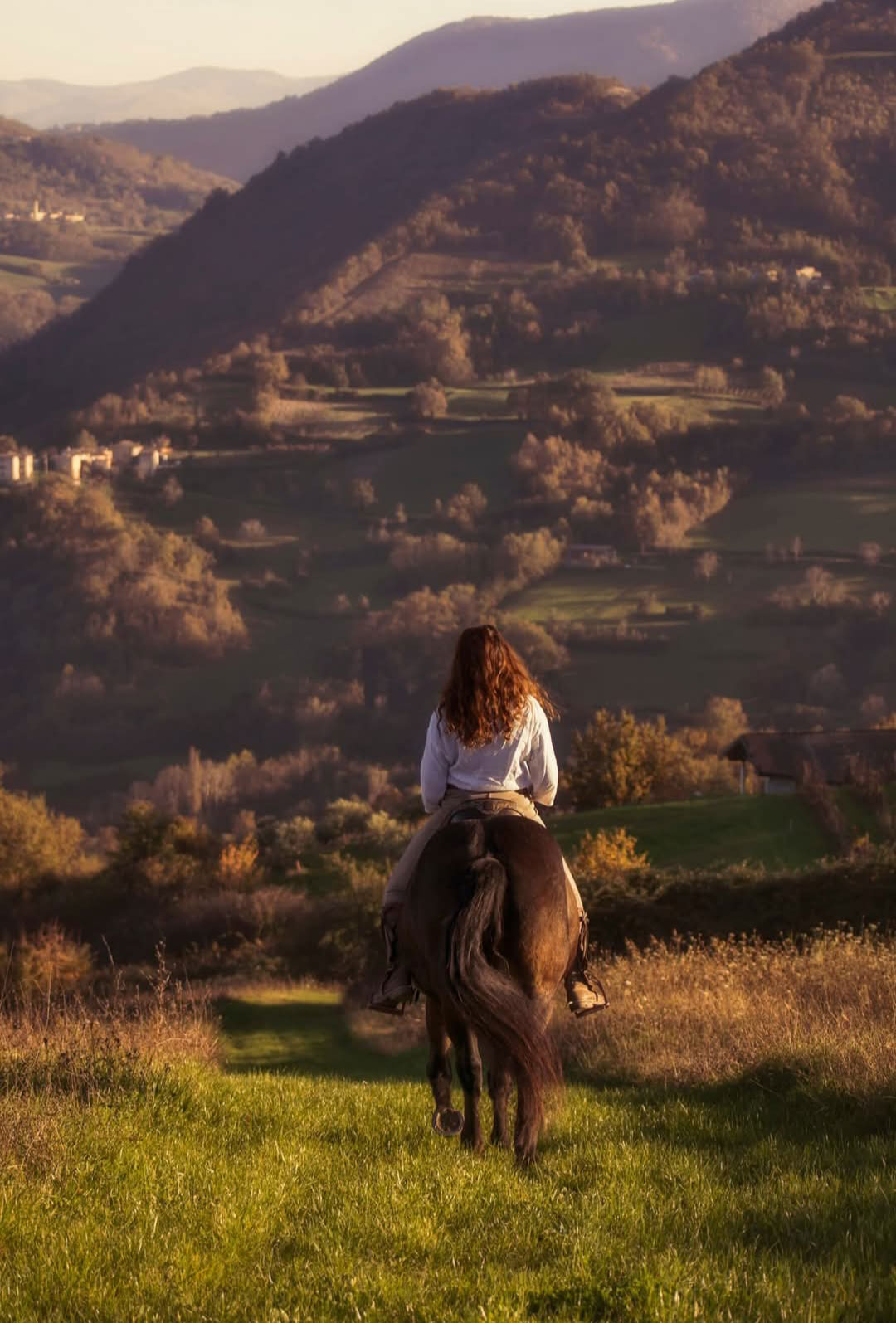Giulia Ferrari di Cergallina Horses a cavallo sulle colline dell'Alta Val D'Arda Piacenza
