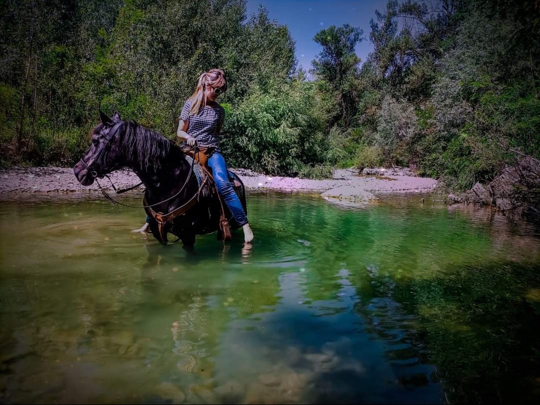 Guardo di un fiume a cavallo in Alta Val d'Arda Piacenza