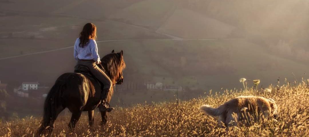 Passeggiata a cavallo sulle colline dell'Appennino a Piacenza