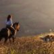 Passeggiata a cavallo sulle colline dell'Appennino a Piacenza