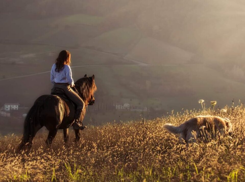 Passeggiata a cavallo sulle colline dell'Appennino a Piacenza