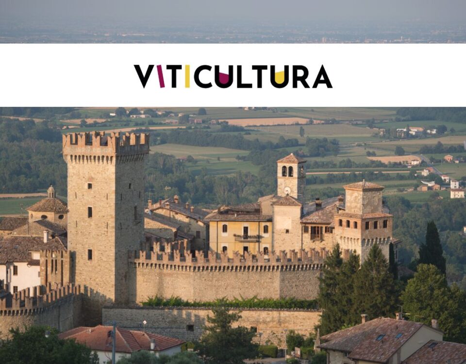 Viticultura a Vigoleno Alta Val d'ARda