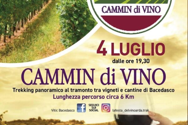 Cammindivino Bacedasco Festa del Vino